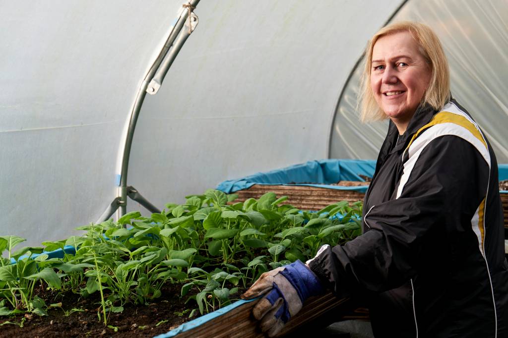 Comment choisir la bonne serre tunnel pour votre jardin