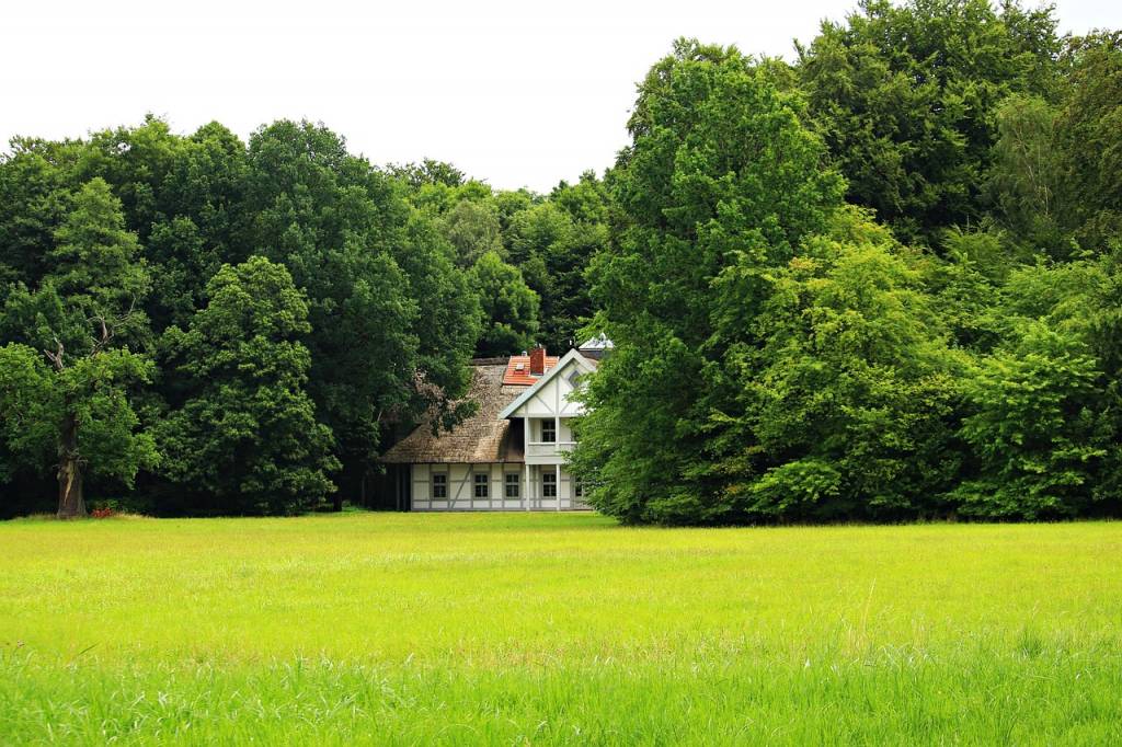 Gazon synthétique ou gazon naturel : que choisir ?